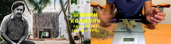 шишки Балабаново