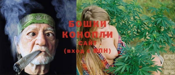 шишки Балабаново