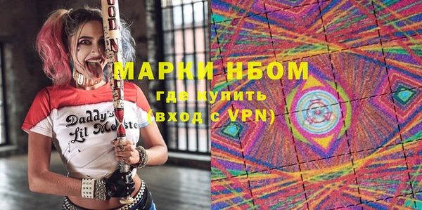 хмурый Арсеньев
